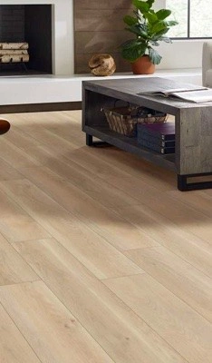 Shaw-vinyl-flooring-living-room Flooring | Technique Flooring and Restoration