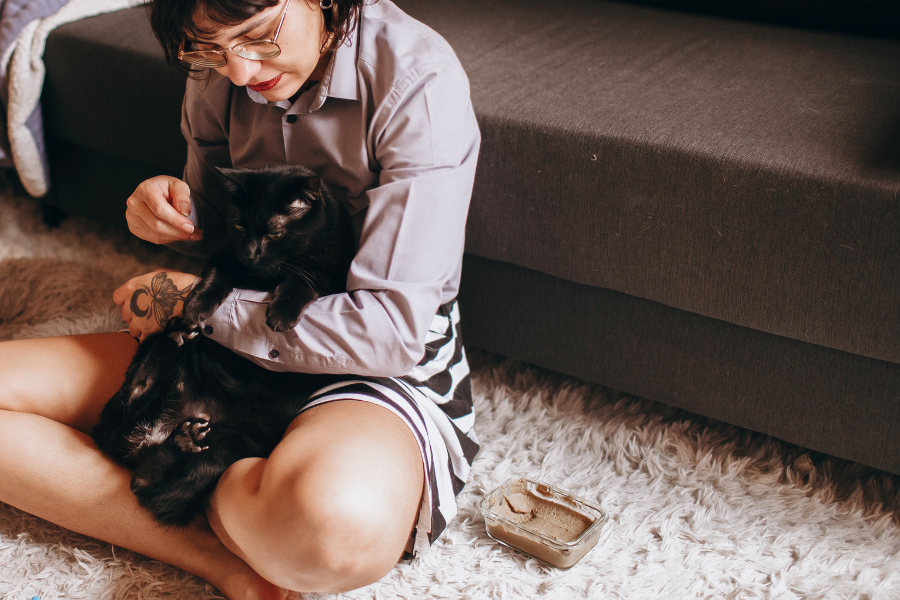 Keller, TX Best Carpet Flooring for Pet Owners in 2026