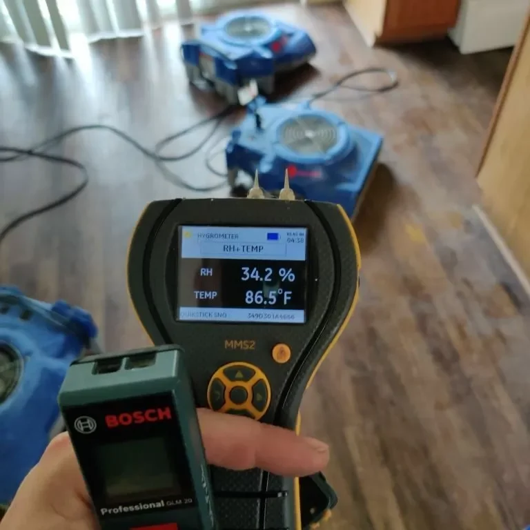 down-net_http20240423-110-b5xdgn